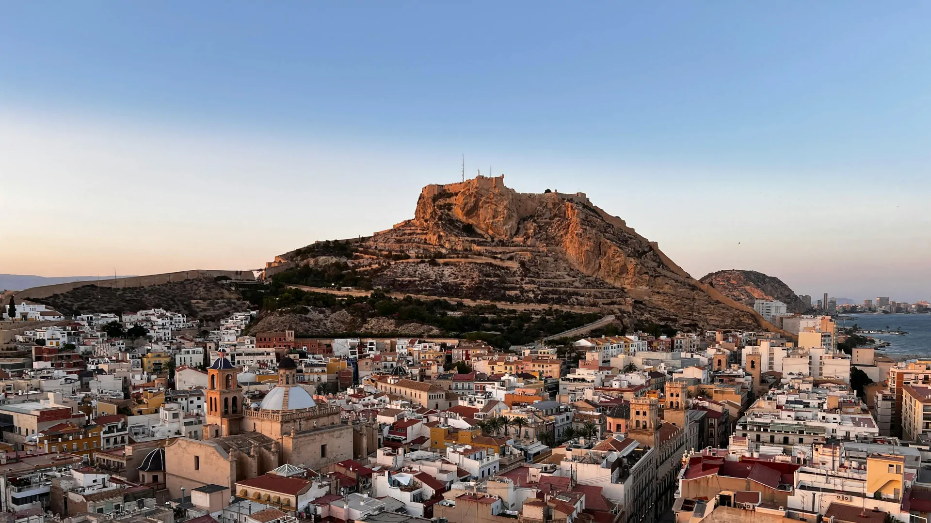 Zona: <span>Alicante</span>